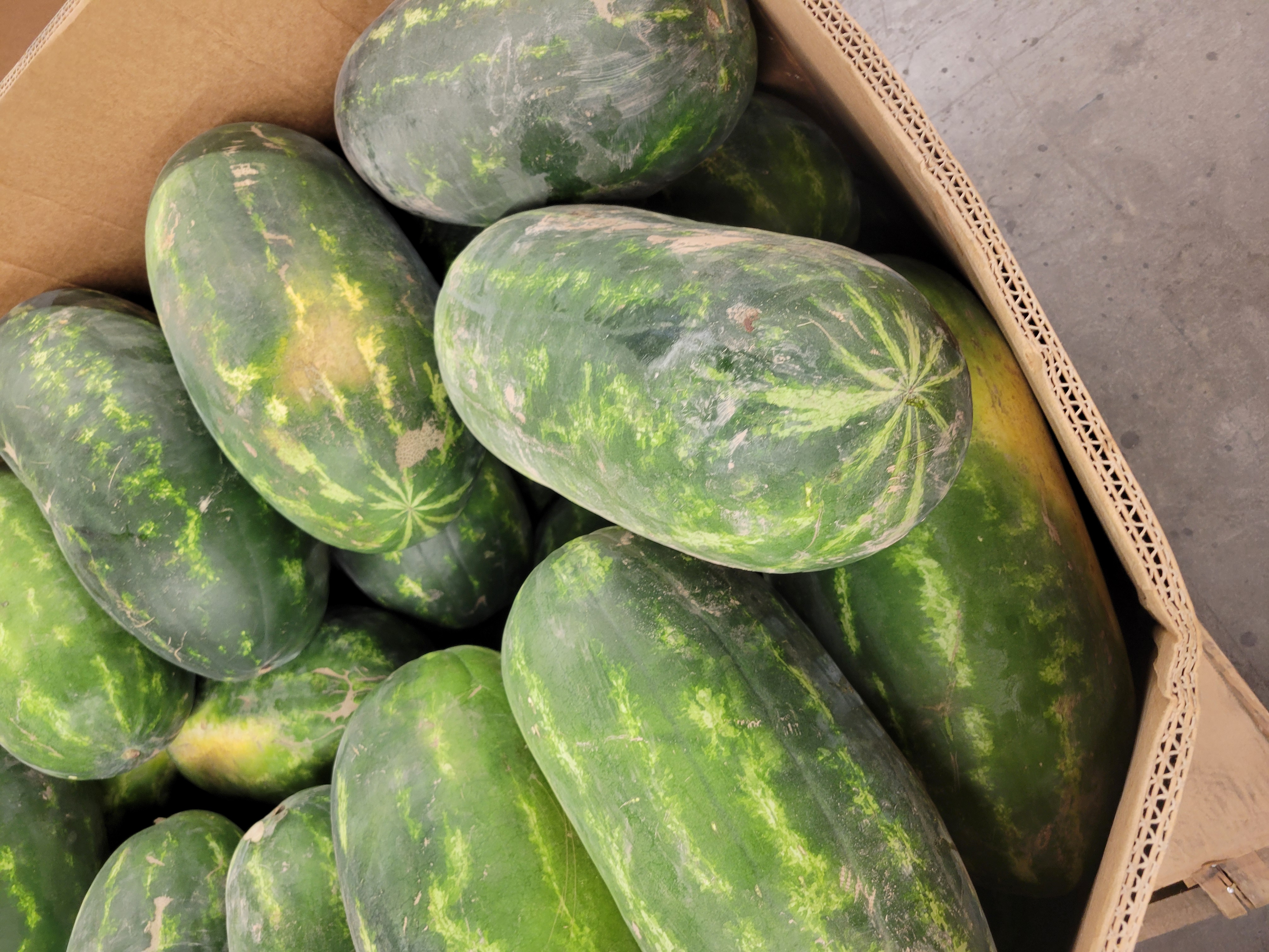 Cardboard containter filled with watermelons.